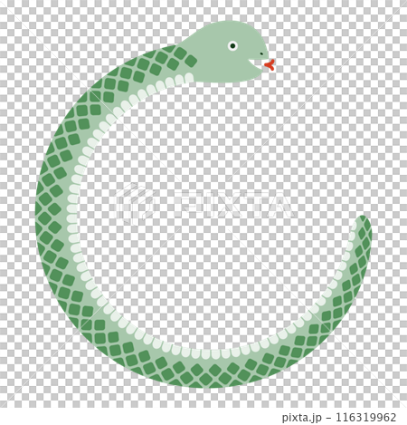 Green snake circular frame illustration Green snake circular frame illustration 116319962