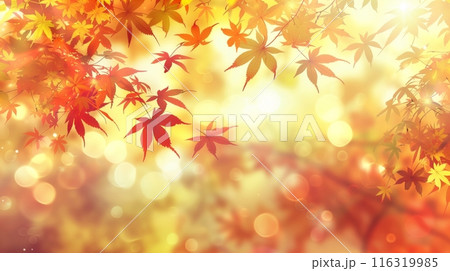 秋の紅葉と木漏れ日 116319985