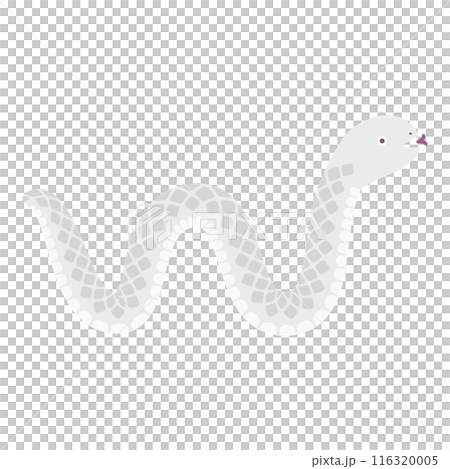 White snake illustration - Stock Illustration [116320005] - PIXTA