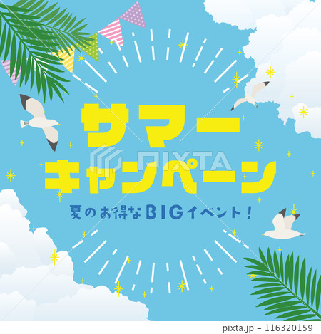 サマーキャンペーン　広告用素材 116320159