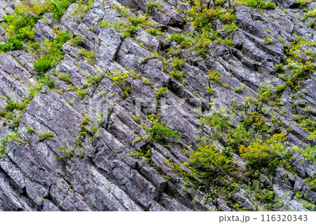 清津峡渓谷　柱状節理の見事な峡谷美　巨大な岩壁　大地の芸術 116320343