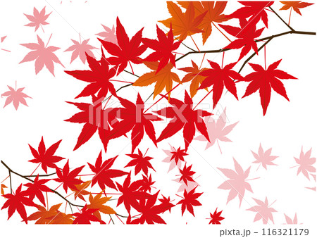 秋の紅葉和風背景 秋の紅葉和風背景 116321179