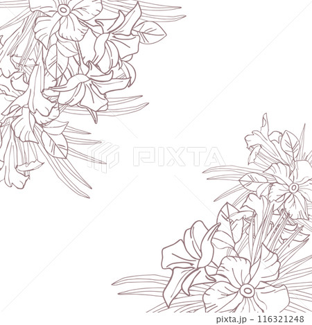 Jasmine flower and palm leaves line art frame for card, invite, scrapbook or wallpaper. Delicate tropical flower, vector background 116321248