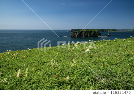 アゼチの岬 アゼチの岬 116321470