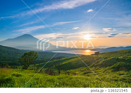 【山梨県】山中湖・三国峠から、梅雨の晴れ間の富士山 夕景 【山梨県】山中湖・三国峠から、梅雨の晴れ間の富士山 夕景 116321545