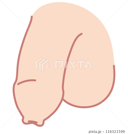 包茎の男性生殖器 医療 包茎の男性生殖器 医療 116321599