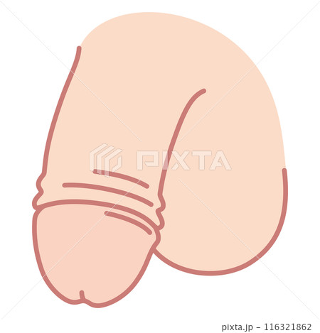 男性生殖器 医療 男性生殖器 医療 116321862