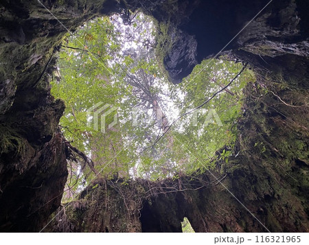 ハートの景色 ハートの景色 116321965