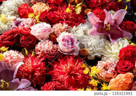 手水鉢　住吉大社 116321991