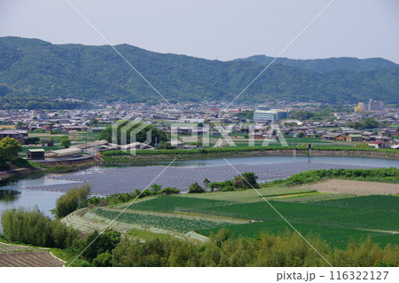 兵庫県淡路島　大日ダムから阿万・賀集方面を望む 116322127