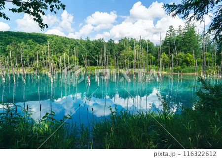 青色 青 青い 116322612