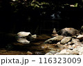 山の川、賽の河原の石積み 116323009