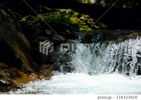 山の小さな川と流れ込み 116323020
