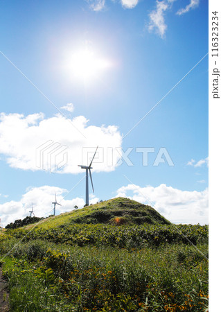 小高い山の上に立つ風力発電機 小高い山の上に立つ風力発電機 116323234