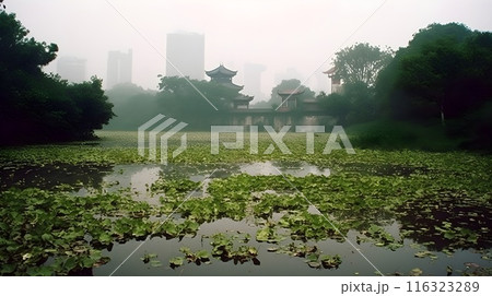 Morning Mist over Cityscape with River, Trees, and Greenery 116323289