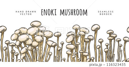 Vector seamless border with fresh organic enoki mushrooms in the style of a hand-drawn sketch 116323435