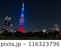 東京タワーと麻布台ヒルズが見える芝公園の夜景 116323796