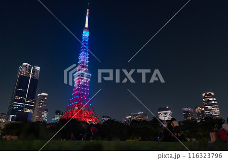 東京タワーと麻布台ヒルズが見える芝公園の夜景 東京タワーと麻布台ヒルズが見える芝公園の夜景 116323796