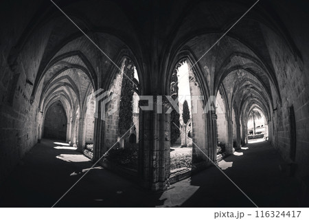 Stone arches creating dramatic light and shadow in medieval Bellapais Monastery 116324417