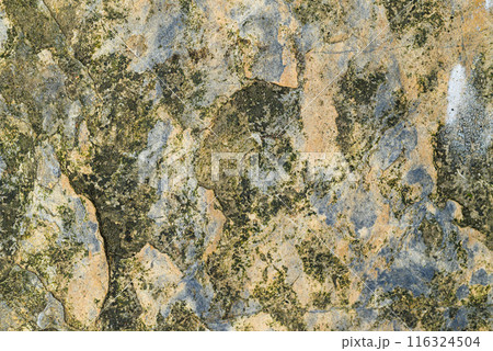 Grunge old stone floor pattern texture background 116324504