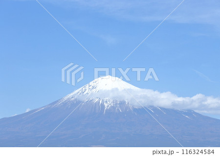 雄大な富士山の風景 116324584