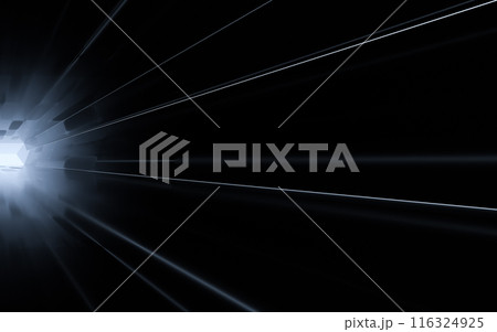 立体 3次元 3D 116324925