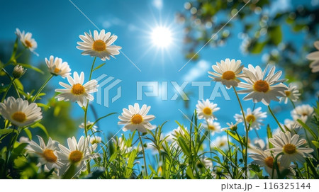 below and on the sides there is grass and wild flowers. 116325144