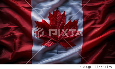 Happy Canada Day . Celebrating Canadian Day 116325179