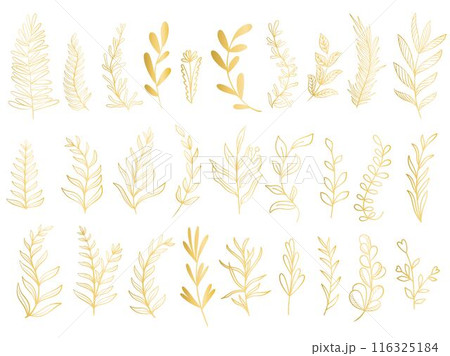 Golden twigs, herbs and foliage set 116325184