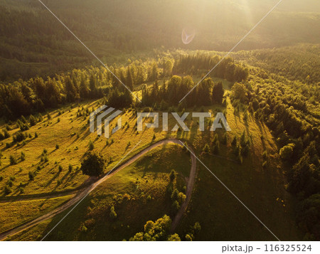 Aerial view of beautiful mountain Carpathians, Ukraine in sunlight. Drone filmed an landscape with coniferous and beech forests, around a winding serpentine road, copter aerial photo 116325524