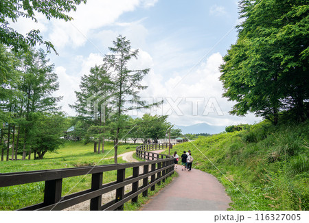 蒜山ホースパークに続く小道 蒜山ホースパークに続く小道 116327005