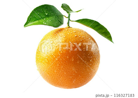 Fresh orange fruit covered in dewdrops with vibrant green leaves isolated on a white background 116327183