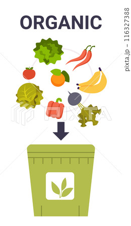 Organic waste sorting concept with vegetables fruits green bin arrow flat colorful design eco-friendly waste management recycling 116327388