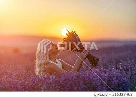 Blonde woman poses in lavender field at sunset. Happy woman in white dress holds lavender bouquet. Aromatherapy concept, lavender oil, photo session in lavender Blonde woman poses in lavender field at sunset. Happy woman in white dress holds lavender bouquet. Aromatherapy concept, lavender oil, photo session in lavender 116327462