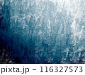 ザラつきのある汚れた背景9 116327573