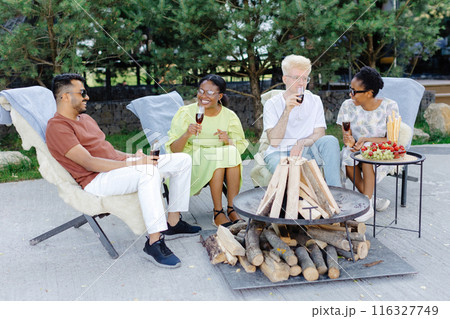 Friends celebrating outside, drinking wine and eating fruit on a picnic 116327749