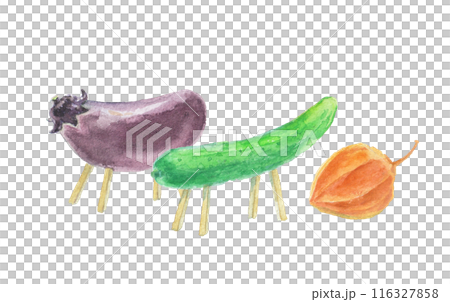 水彩絵の具で描いたお盆の精霊馬 116327858