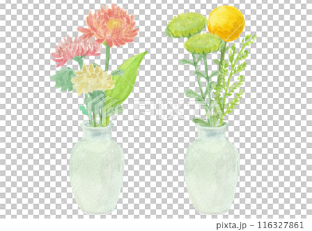 Buddhist flowers arranged in a vase painted with watercolors 116327861