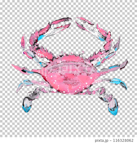 一隻蜘蛛的插圖 116328062