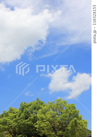 新緑と青空と白雲(あすたむらんど徳島) 新緑と青空と白雲(あすたむらんど徳島) 116328155