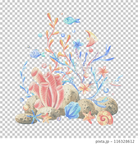 Sea corals, algae, shells, starfish, fish, bubbles. Watercolor illustration hand drawn in coral, turquoise and blue colors. Composition isolated from the background 116328612