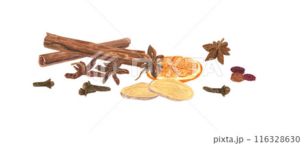 Mixture of Christmas spices and herbs. Cinnamon sticks, fresh ginger slice, star anise, raisins, dried orange slices and cloves. Watercolor illustration isolated on white. .Ingredient for hot drinks Mixture of Christmas spices and herbs. Cinnamon sticks, fresh ginger slice, star anise, raisins, dried orange slices and cloves. Watercolor illustration isolated on white. .Ingredient for hot drinks 116328630