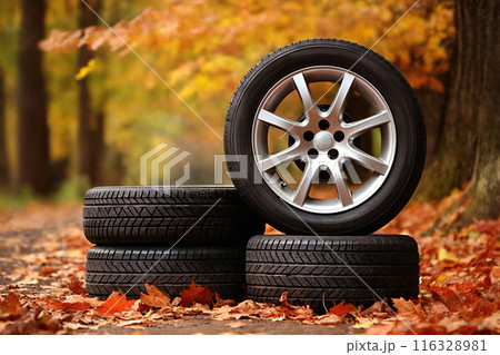 new car wheels decorated with bright yellow leaves on the road in the autumn forest 116328981