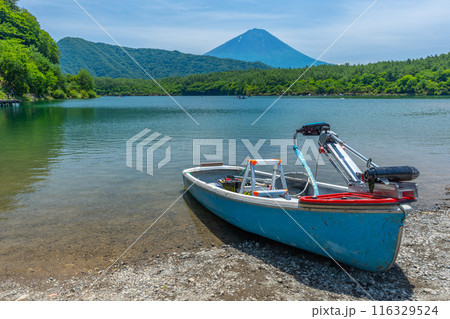 夏の西湖　富士山 116329524