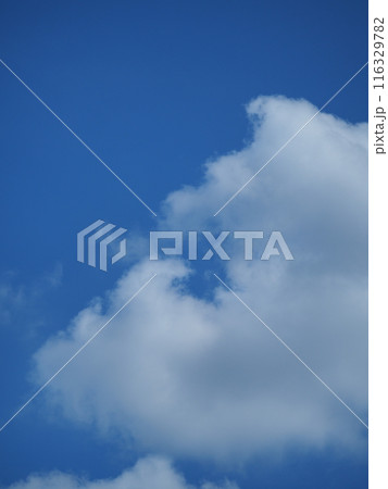青空に浮かぶ個性的な雲たち 116329782