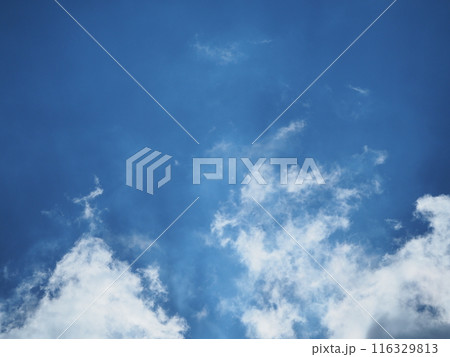 青空に浮かぶ個性的な雲たち 青空に浮かぶ個性的な雲たち 116329813