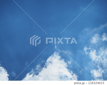 青空に浮かぶ個性的な雲たち 青空に浮かぶ個性的な雲たち 116329815