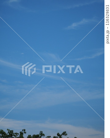 青空に浮かぶ個性的な雲たち 青空に浮かぶ個性的な雲たち 116329831