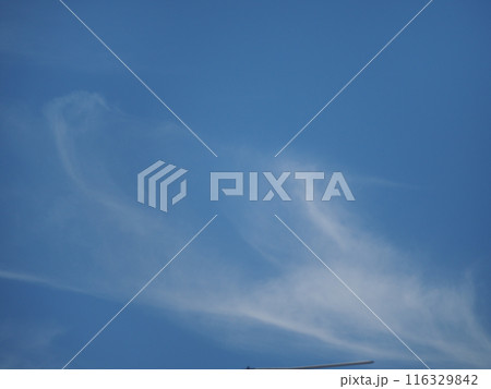 青空に浮かぶ個性的な雲たち 青空に浮かぶ個性的な雲たち 116329842