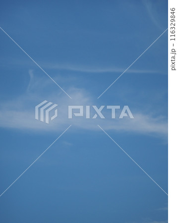 青空に浮かぶ個性的な雲たち 青空に浮かぶ個性的な雲たち 116329846